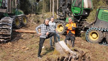 Vorschaubild Undercut - Stämme, Schweiß und Sägespäne - Katerstimmung