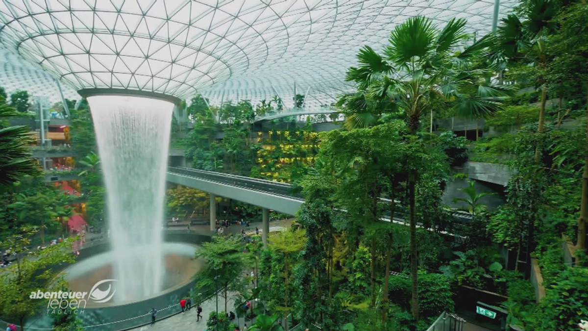 Singapur: Stadt der schwebenden Gärten