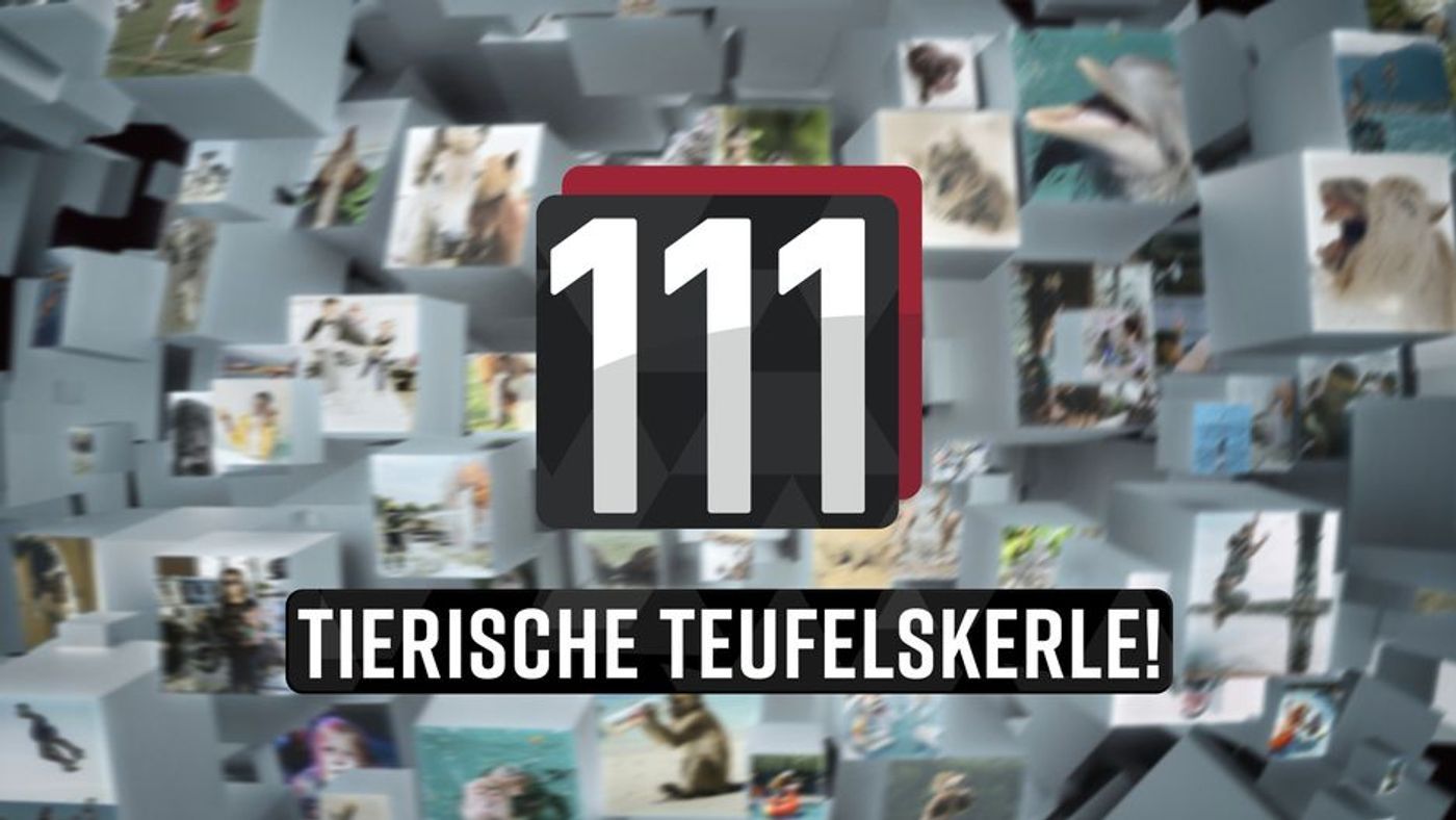 111 tierische Teufelskerle!