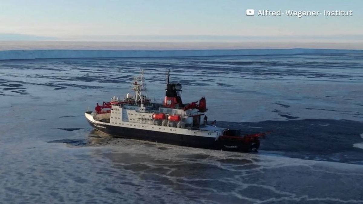 Sensationsfund unter Eisberg: "Polarstern" entdeckt erstaunliche Lebensvielfalt