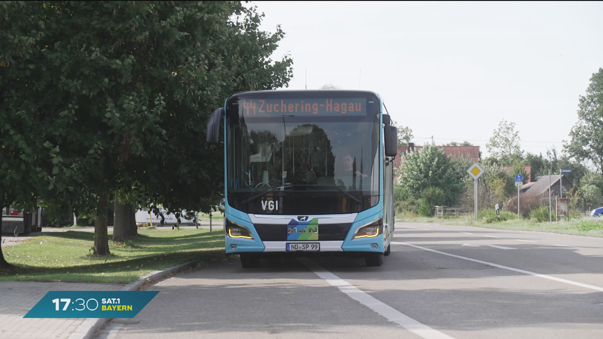 On Tour! Busse im Straßenverkehr - was muss ich beachten?