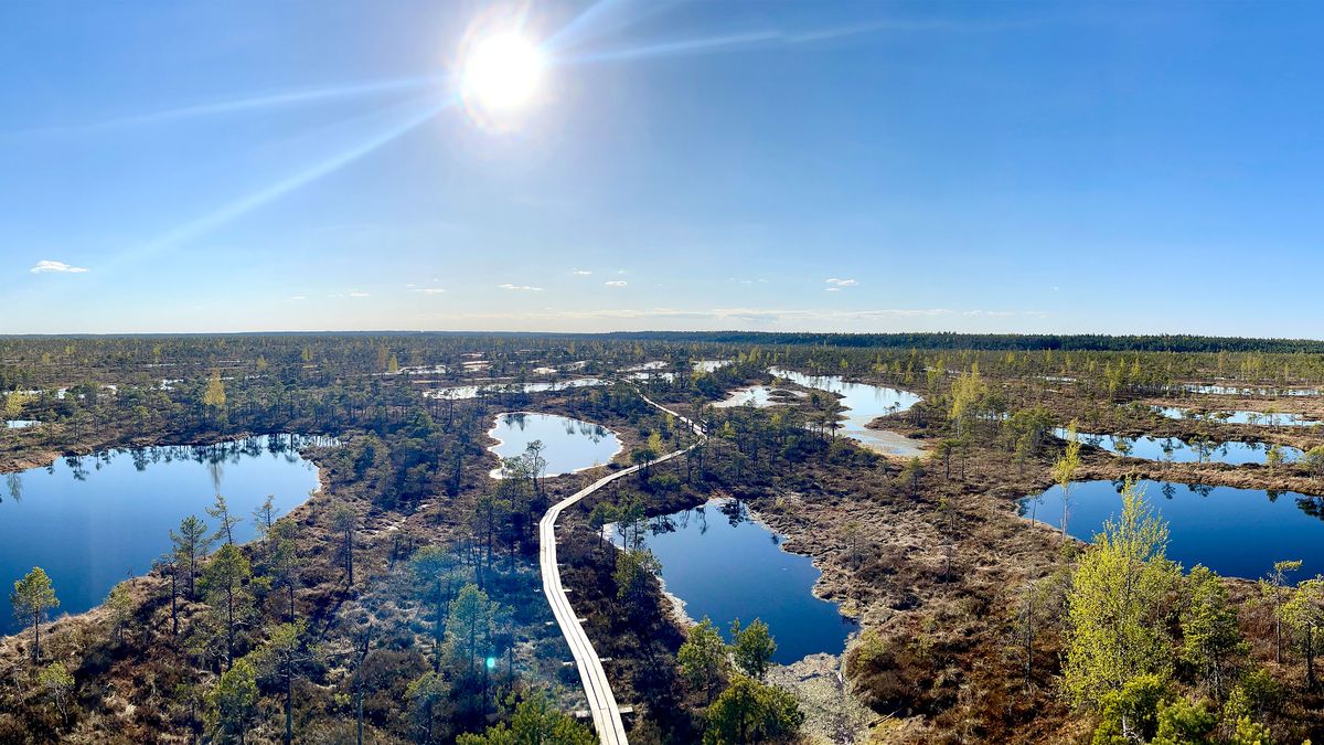 Geheimtipp Lettland
