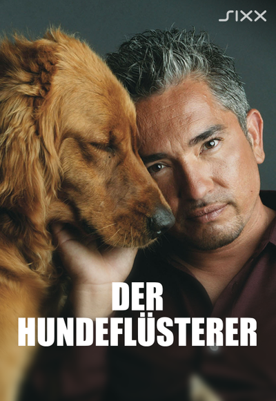 Cesar Millan - Der Hundeflüsterer Image