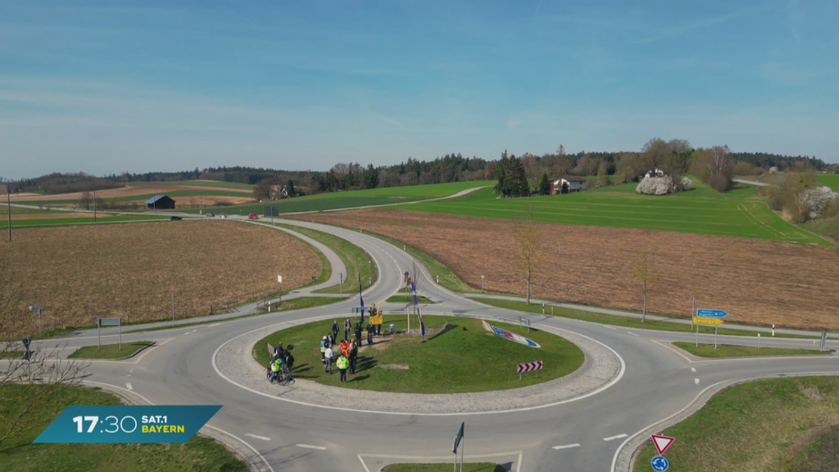 Kultiger Eberhofer-Kreisverkehr: Umgesägte Linde ersetzt