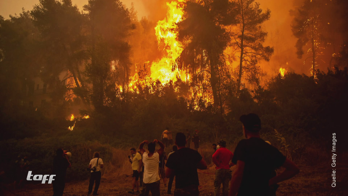 Waldbrände auf Rhodos