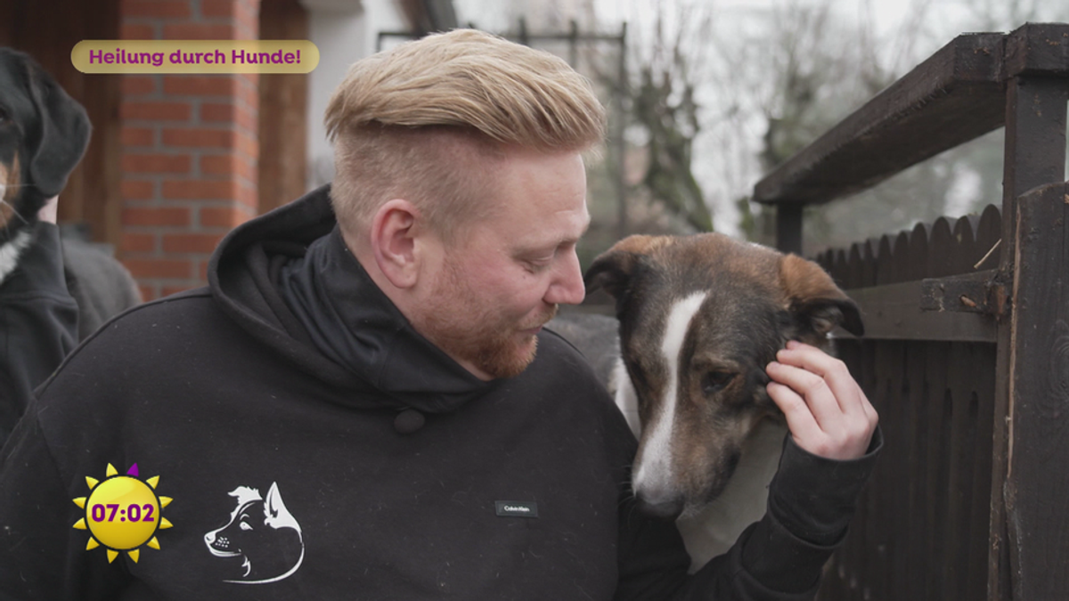 Heilung durch Hunde!