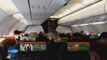 Packliste und Platzwahl: Tipps und Tricks von der Flugbegleiterin