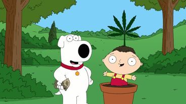 Vorschaubild Family Guy - Kifferwahn