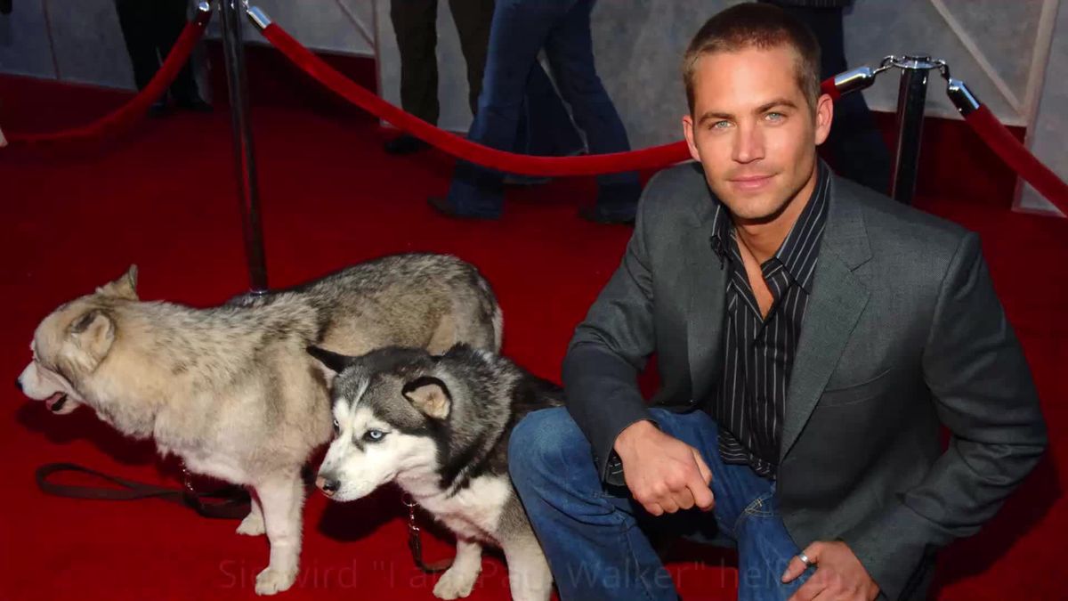 Verstorbener Paul Walker: Film über sein Leben geplant!