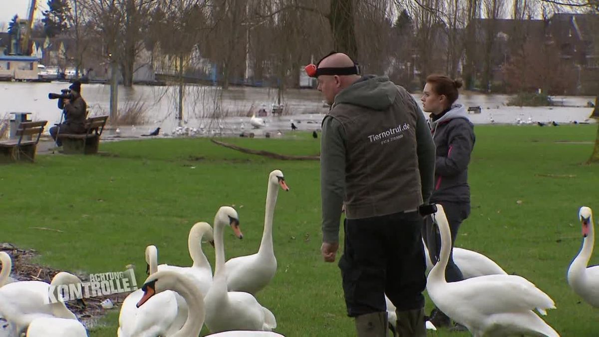 Achtung Kontrolle! Einsatz für die Ordnungshüter