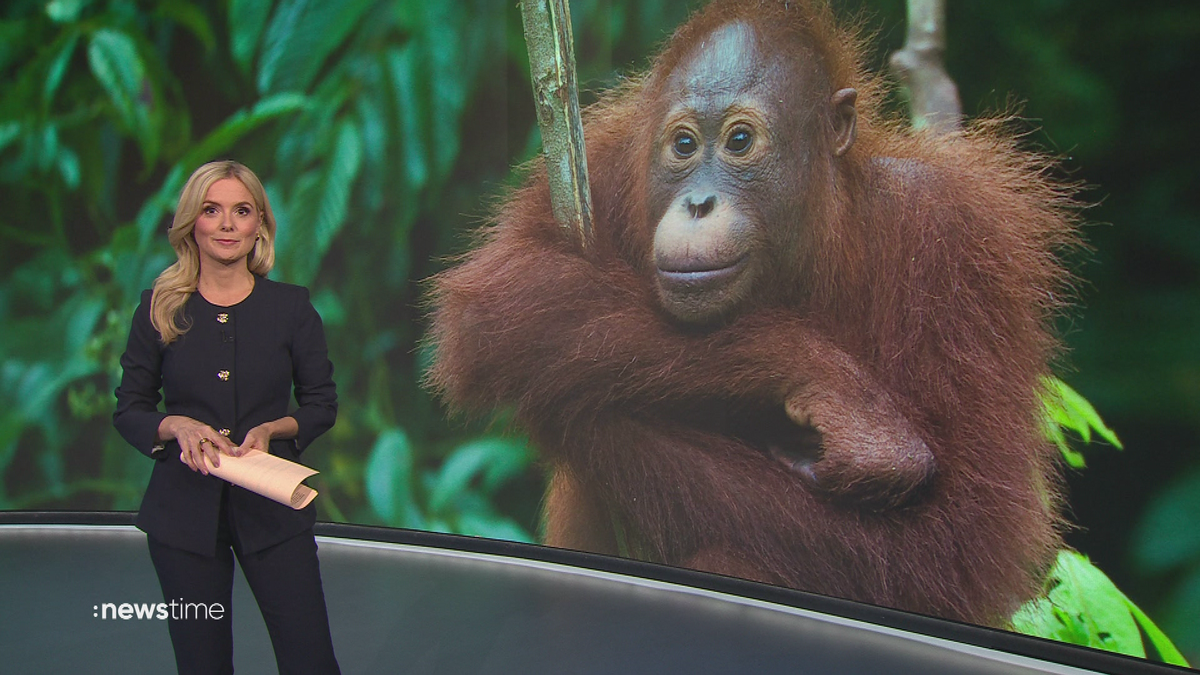 :newstime vom 19. August 2025 | 19:45