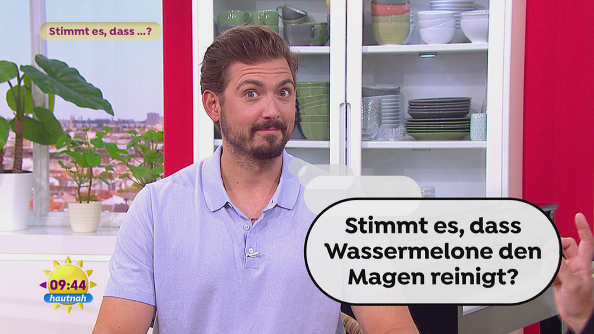 “Stimmt es, dass …?“: Schrumpfendes Gehirn und Magenreinigende Wassermelone