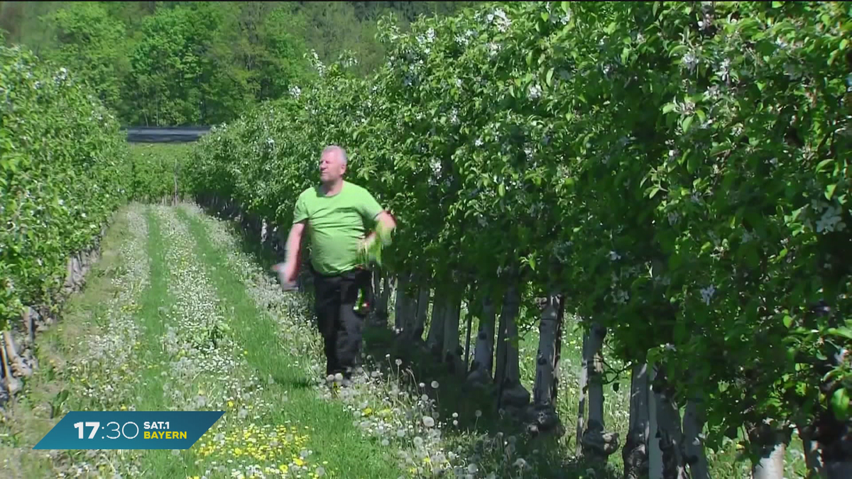 Konkurrenz aus dem Ausland: Halten Bayerns Bauern noch mit?