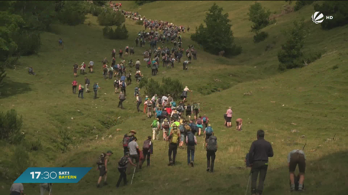 Hauptalmbegehung in Oberbayern: Bauern kämpfen mit Wolf und Tourismus