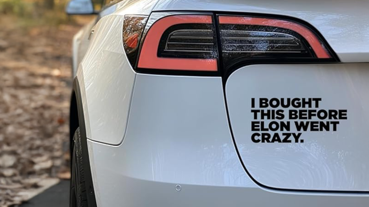Tesla: Image-Schaden durch Musks Politik