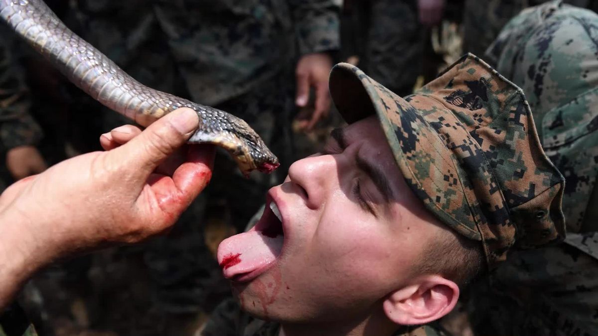 Ekelhaft! US-Soldaten trinken Schlangen-Blut bei Überlebenstraining