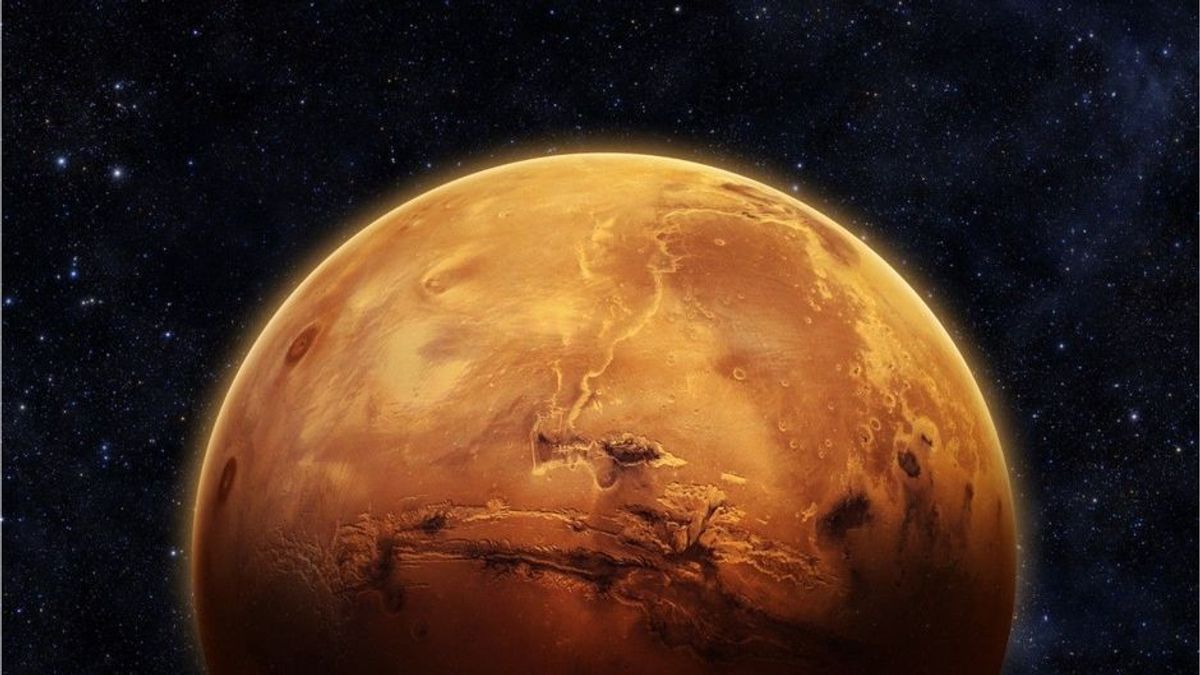 Forscher sicher: Leben auf der Venus stammt von der Erde