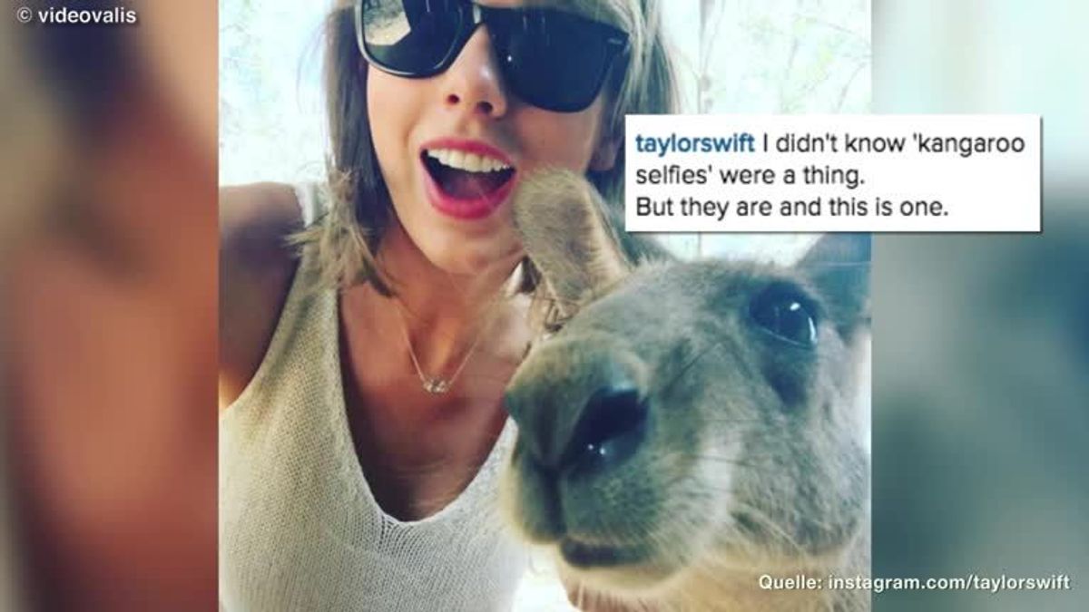 Taylor Swift: Auf Du und Du mit einem Känguru