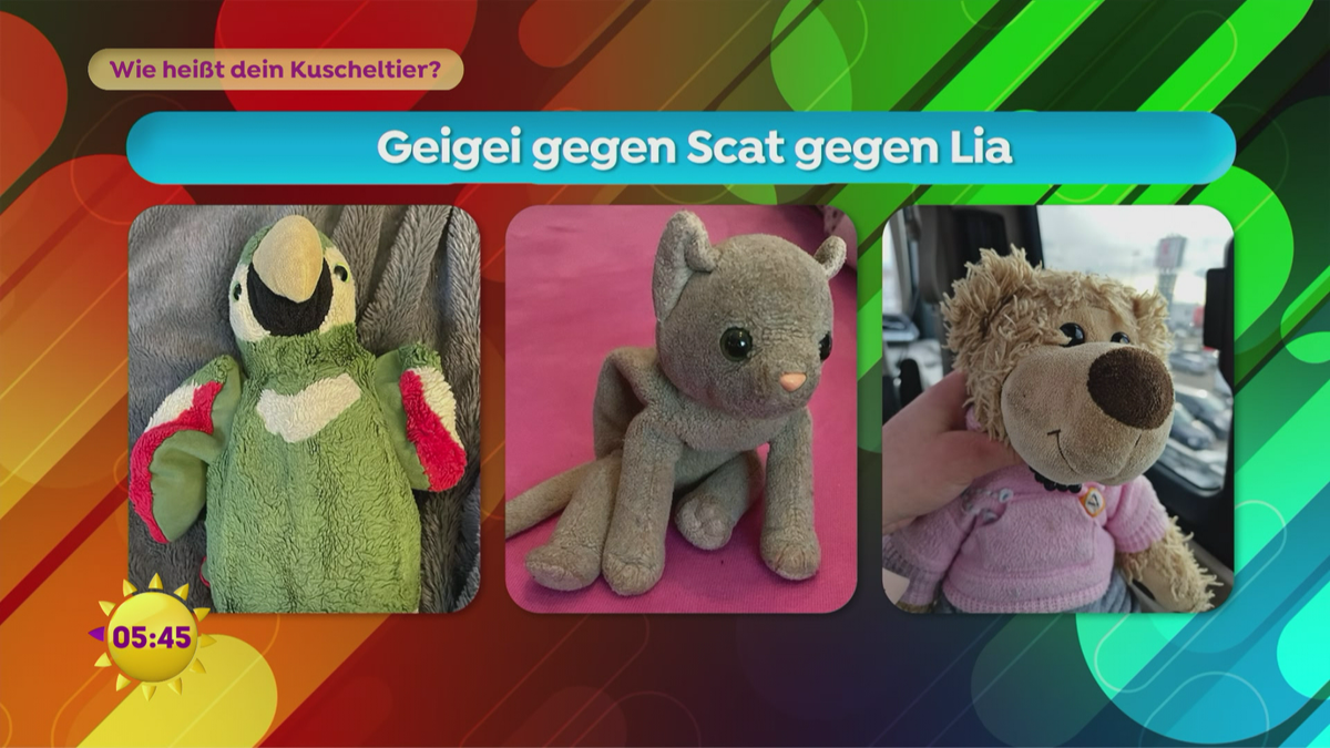 Wer ist wer? Das Duell der Kuscheltiere