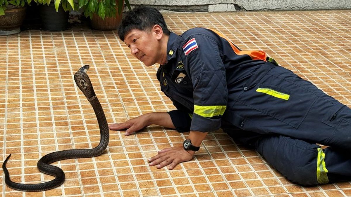 Der Schlangenflüsterer von Bangkok