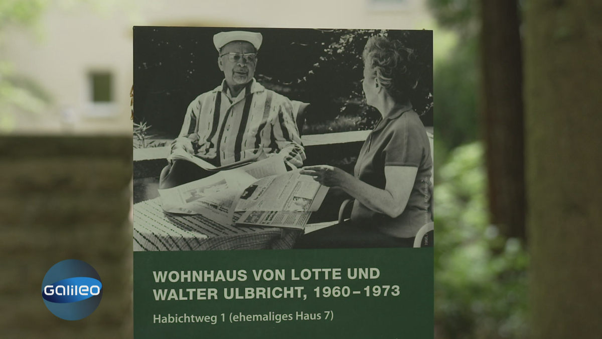 Fluchttunnel und DDR-Siedlung: Die geheimen Orte Berlins
