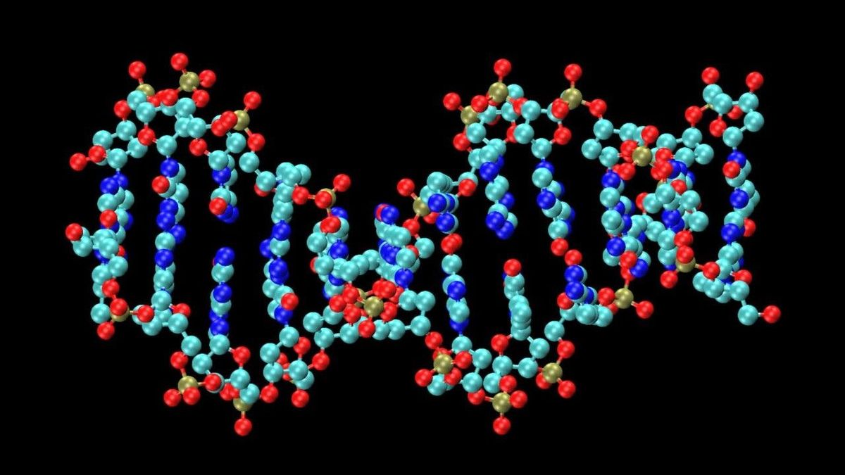 woit_fnr_tp7_6268dea53687da18a1342050_DNA_ST1651056589