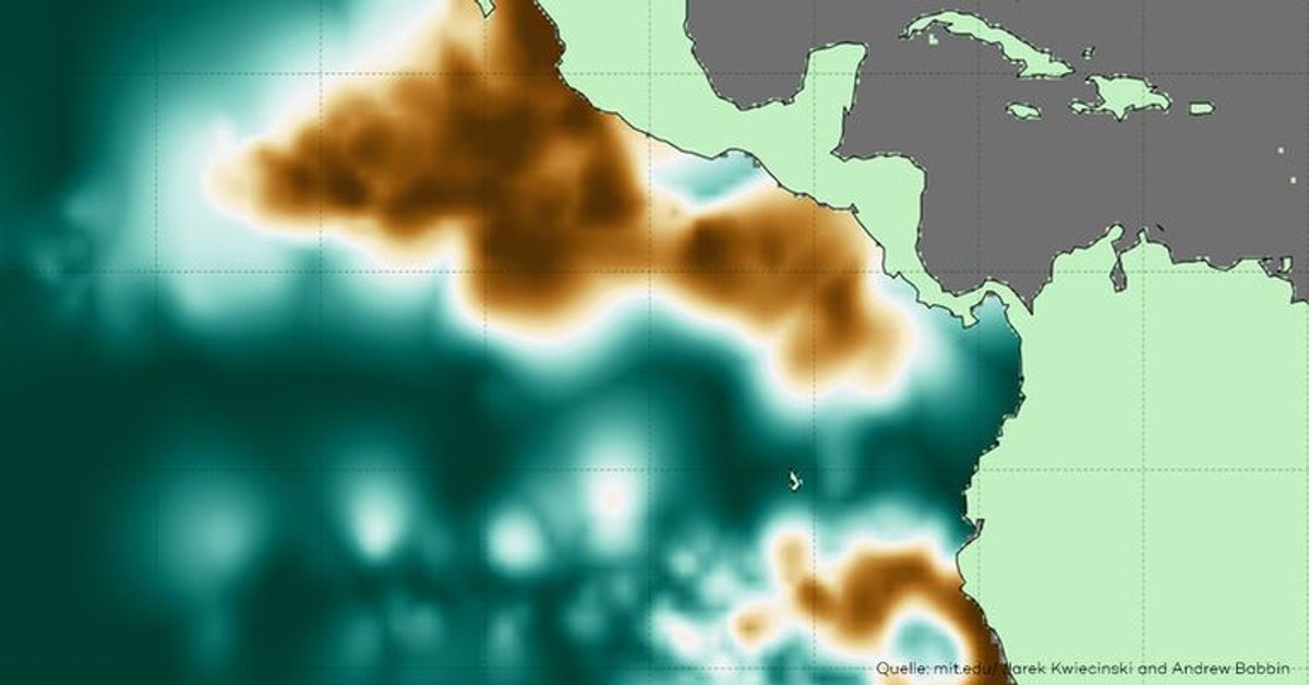 "Todeszonen" im Ozean: Forschende vermessen erstmals sauerstoffarme Bereiche