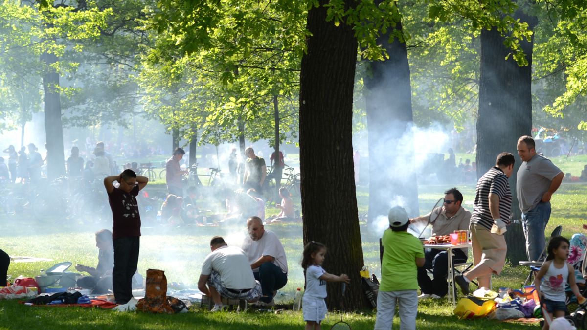 Grillen im Park: Diese Regeln gelten