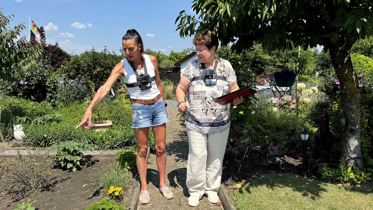 Ärger im Schrebergarten