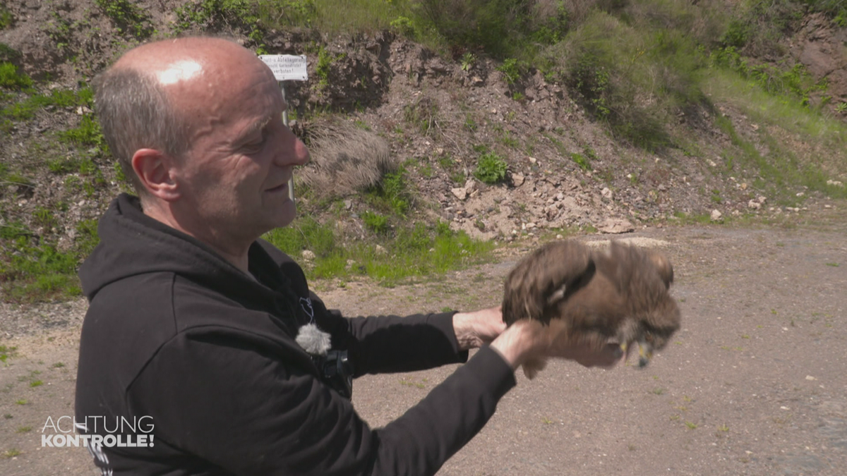 Zweite Chance für verletzte Wildtiere - Wildtierzentrum Saarburg