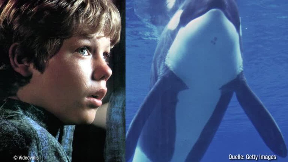 Was wurde aus "Free Willy"-Star Jason James Richter?