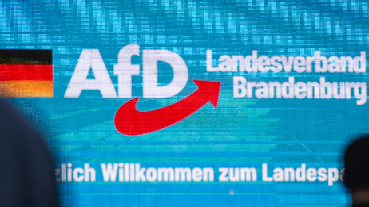 AfD-Brandenburg ist rechtsextremistisch
