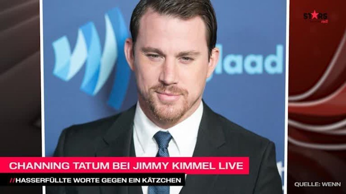 Channing Tatum: Hasserfüllte Worte gegen ein Kätzchen