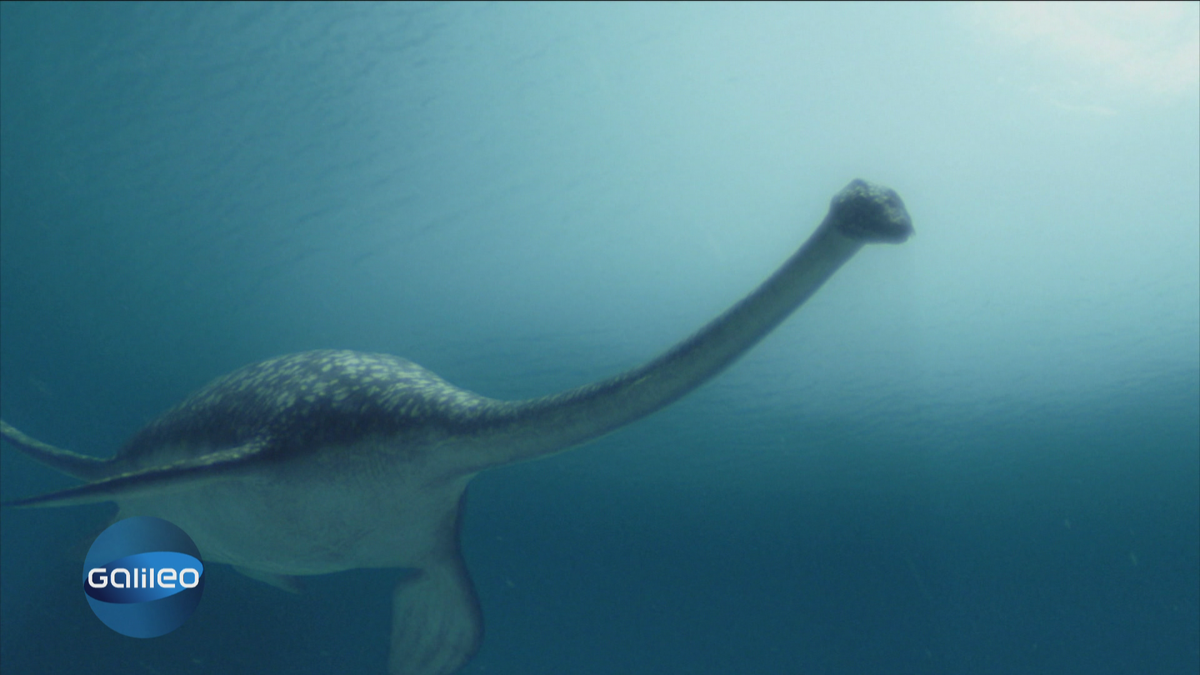 Der Mythos von Loch Ness: Gibt es Nessie wirklich?