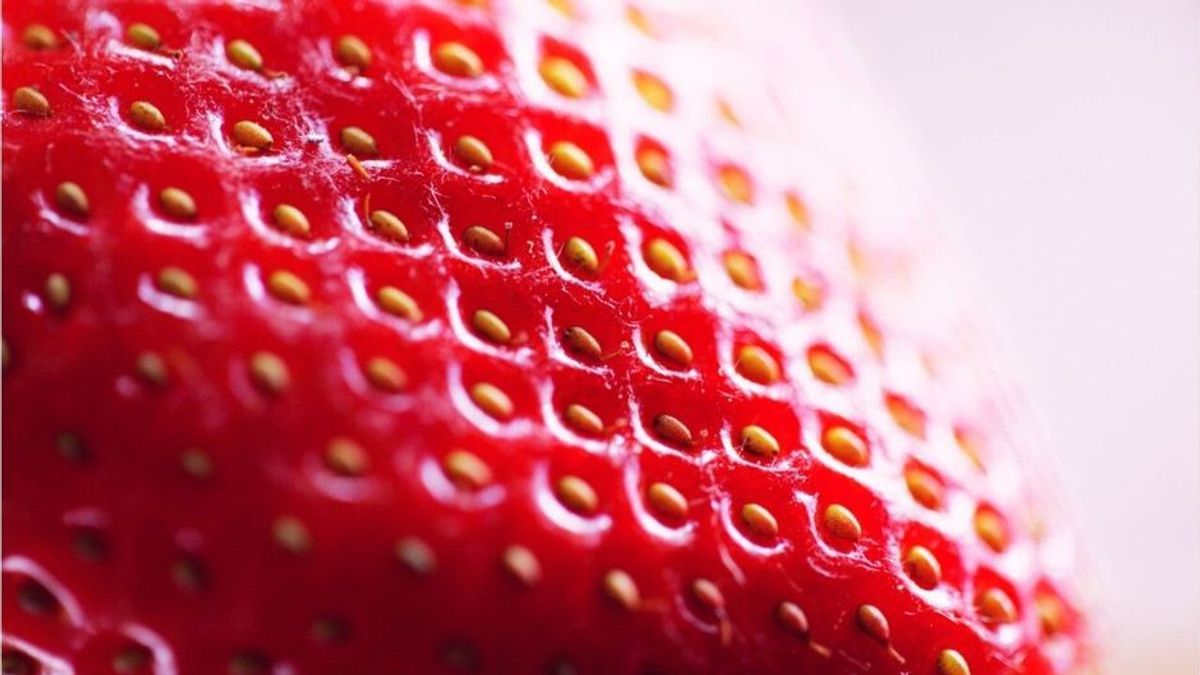 Von wegen fruchtig! 5 überraschende Fakten über die Erdbeere