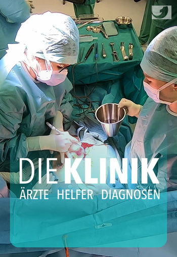 Die Klinik - Ärzte, Helfer, Diagnosen Image