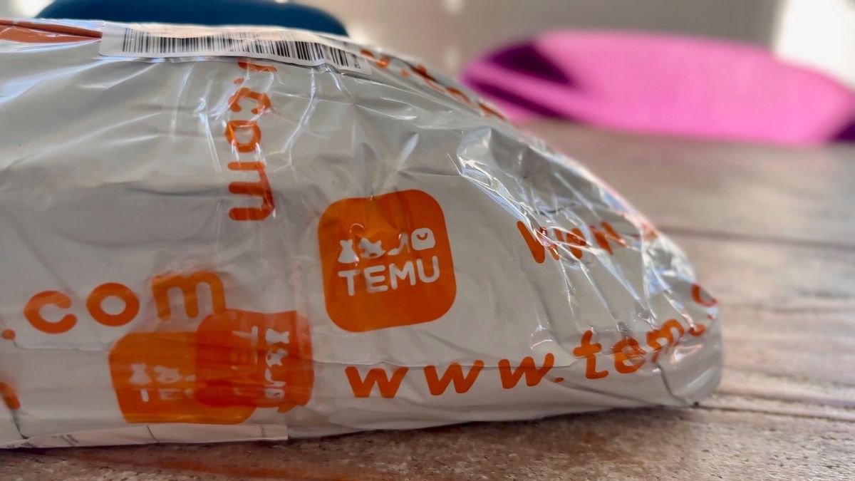 Onlineshop im Test: Temu