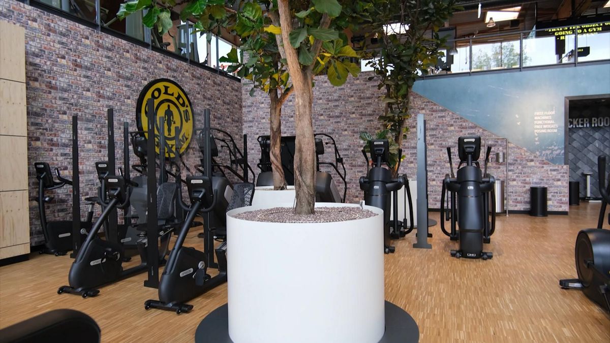 Gold's Gym: Das Fitnessstudio für ein stärkeres Umweltbewusstsein