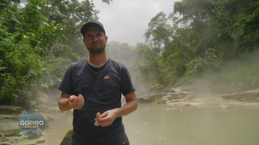 Der kochende Fluss: Expedition durch Südamerika - Teil 1