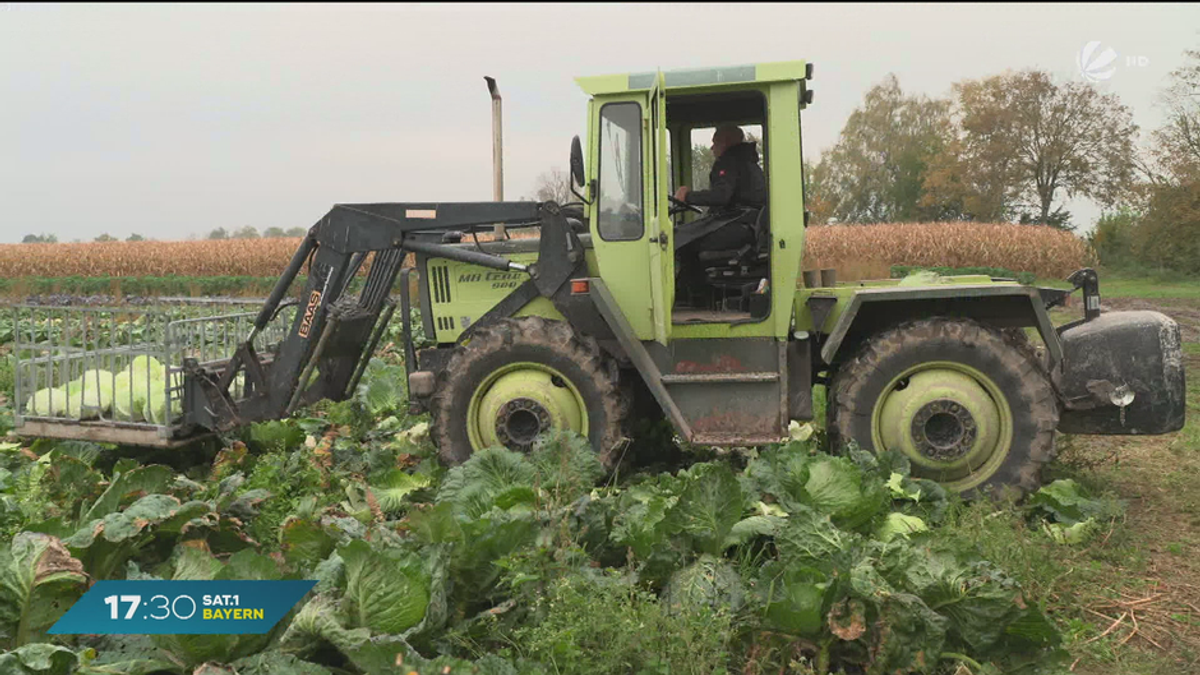 Landwirtschaft in Bayern: Wie gut ist das Ansehen der Bauern?