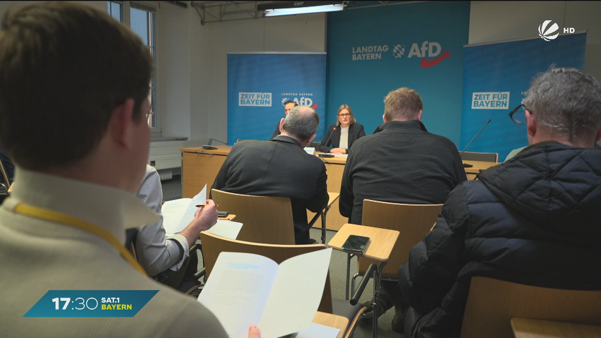 “Zukunftsplan” für Bayern: Das fordert AfD