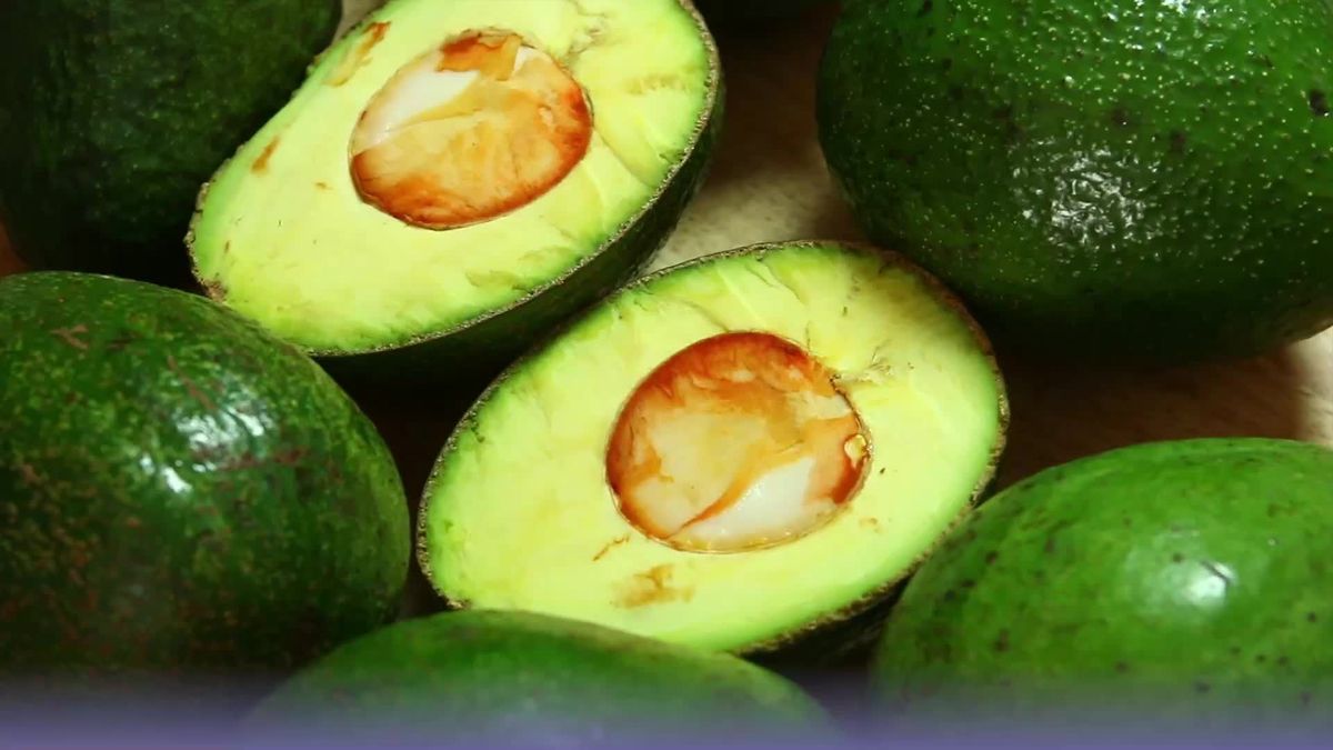 What??? Avocados sollen nicht vegan sein