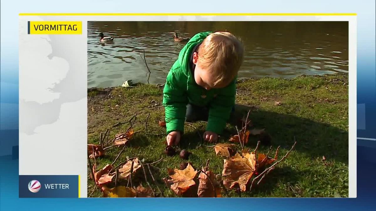 Das SAT.1-Wetter vom 11.11.2015