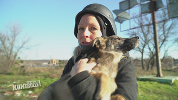 Tierrettung im Kriegsgebiet: Judith Pein in der Ukraine