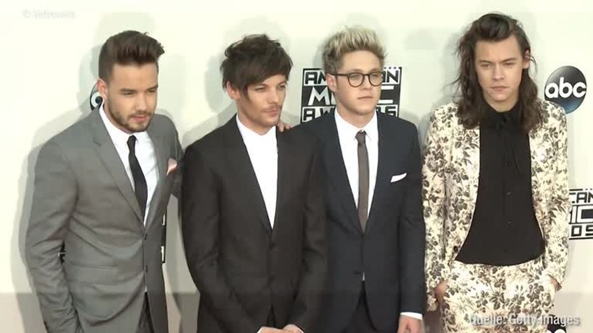 One Direction: Das sind die neuen Projekte der Jungs