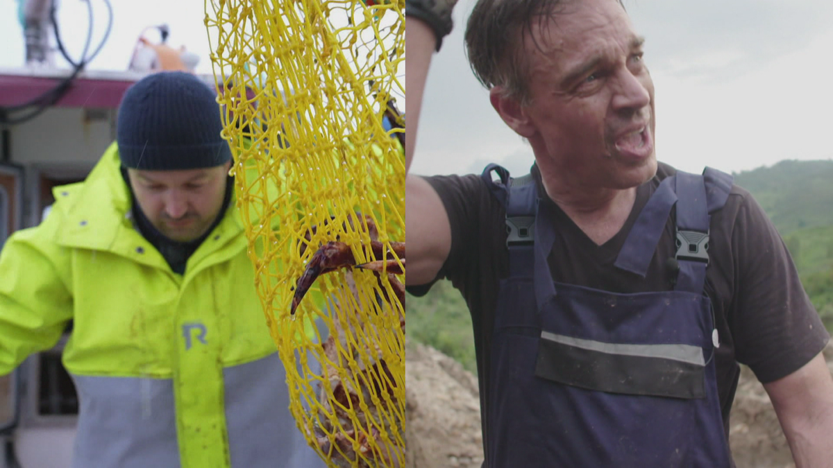 Harro vs. Martin: Mineralabbau im Kongo & Königskrabbenfischen in Norwegen