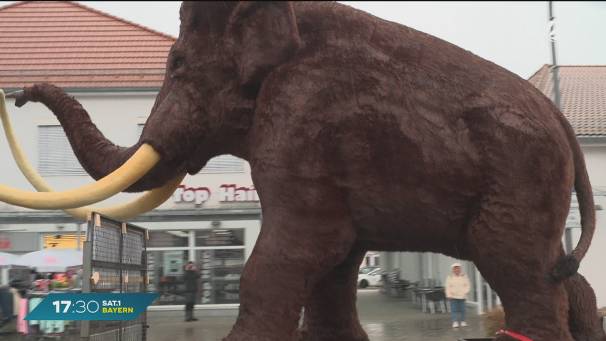 Schwergewicht auf Bayerns Straßen: Mammut zurück im Altmühltal