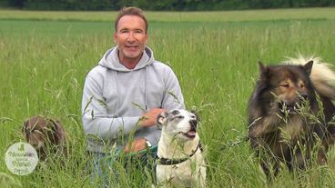 Haustier sucht Herz - Spezial: Die besondere Tiervermittlung für einsame Heimtiere