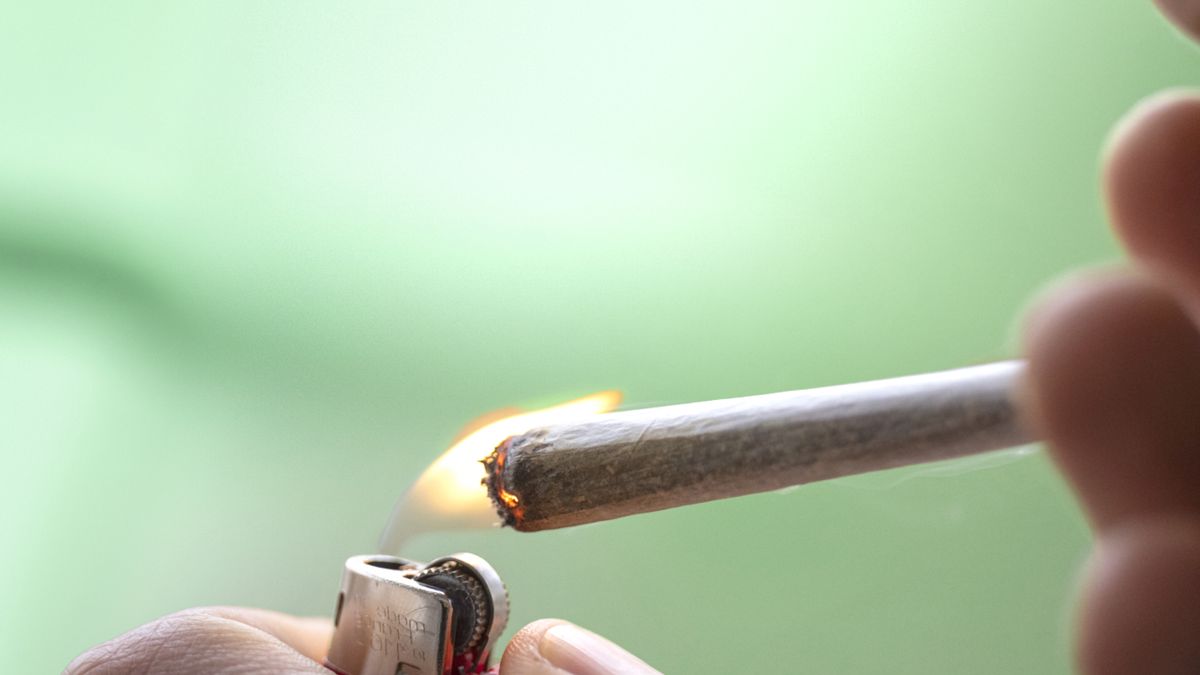 Cannabis: Junge Menschen oft in Therapie
