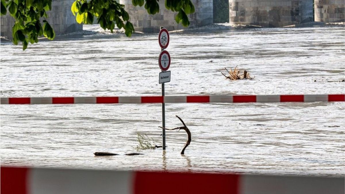 Wissenschaftlerin macht Behörden schwere Vorwürfe bei Flutkatastrophe